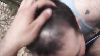 Fusti pelosi nella foresta