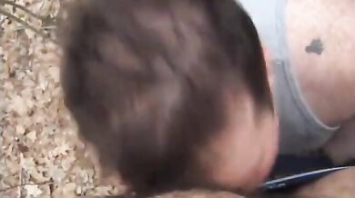 Fusti pelosi nella foresta