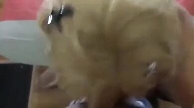 Divertimento con un travestito che succhia il cazzo