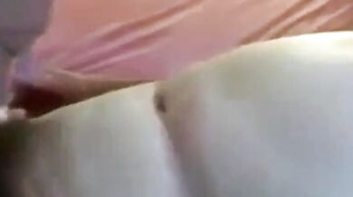 Papà orso amatoriale succhia un piccolo cazzo