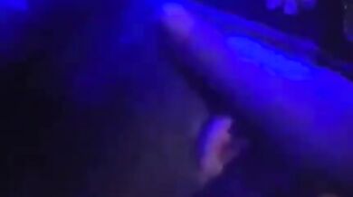 Troia Italiana Simone Prende Dildo e Cazzo nel Culo