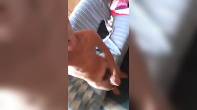 Ragazzo Italiano Arrapato Mostra Cazzo in Webcam