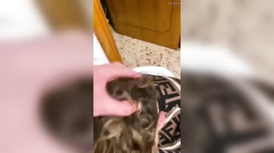 Biondo prende fino in gola il cazzo duro del suo ragazzo