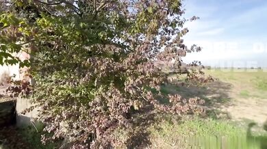 Giardiniere gay si fa guardare e segare dal suo datore di lavoro