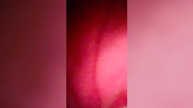 Un ragazzo giovane che vorrebbe fare sesso orale ma è pieno di timidezza.ㅤ