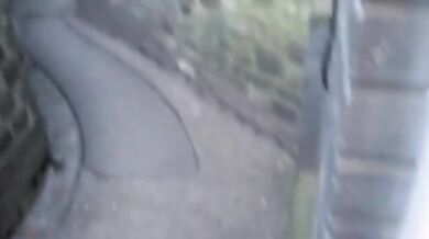 Pompini nei bagni pubblici