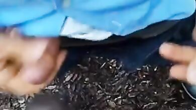 blowjob black cock