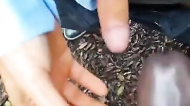blowjob black cock
