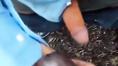 blowjob black cock