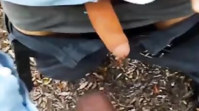 blowjob black cock