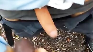 blowjob black cock