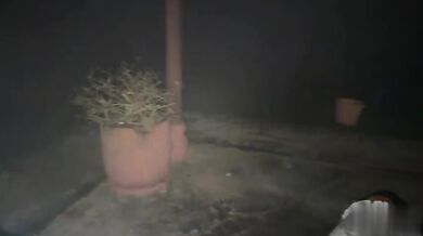 Che figata vedere questo colombiano che si SEGA fino a sborrare