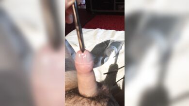 Una penna su per il cazzo gay