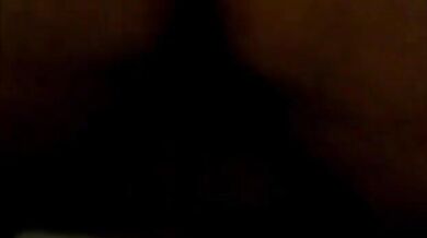 Orsi gay inculata intensa