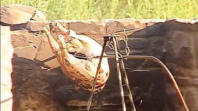 Video porno orgia maschi muscolosi