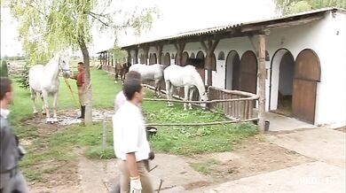 Scopata gay al maneggio