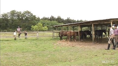 Scopata gay al maneggio