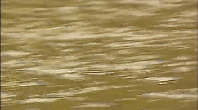 Sesso tra boy scouts in campeggio