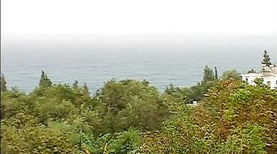 Bei gay palestrati scopano