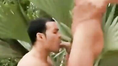 Sesso gay all'aria aperta