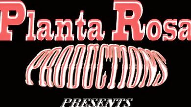 Un pisello gay dritto nel culo