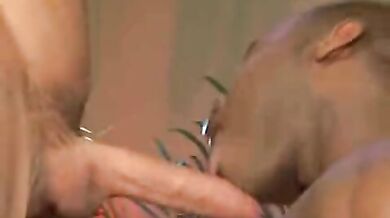 Gay palestrati si succhiano il cazzo