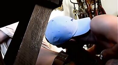 Gli succhia il cazzo e poi lo incula