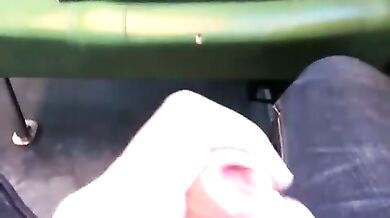 Si fa una sega in treno