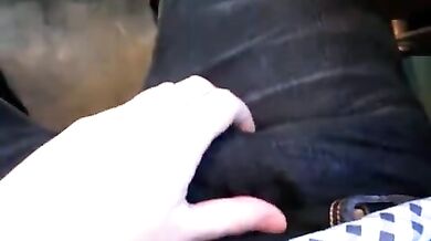 Si fa una sega in treno