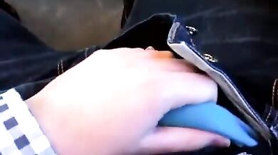 Si fa una sega in treno