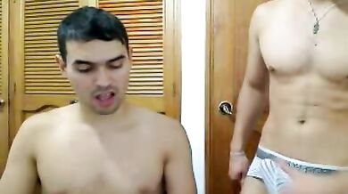 Si  fanno delle seghe davanti alla webcam