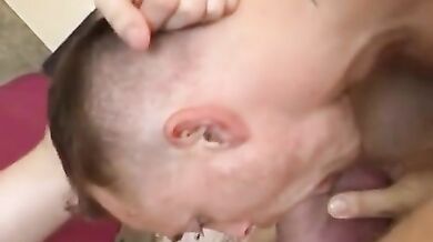 Stalloni tedeschi scopano