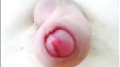 Geme come un maiale mentre sborra