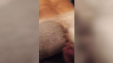 Cavalcata tra orsi gay