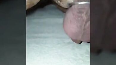 Un enorme dildo nel suo culone gay