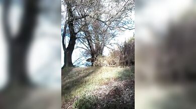 Coppia amatoriale gay italiani fa sesso all'aperto