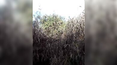 Coppia amatoriale gay italiani fa sesso all'aperto