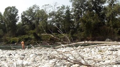 Andrà meglio la prossima volta...forse!