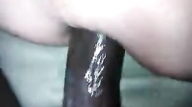 CON IL MIO AMICO REDAN