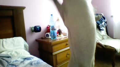 Il mio cazzo duro e pulsante