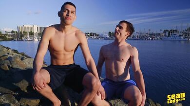 Leccate anali e inculata di una giovane coppia gay