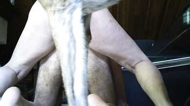 Mi scopa il culo a quattro zampe un amico 70enne