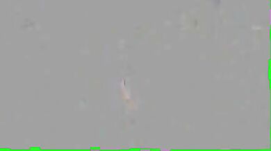 Zona di incontro gay anonima nel parco