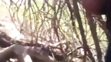 Zona di incontro gay anonima nel parco