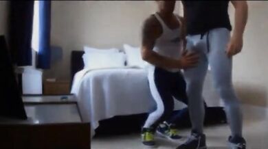 Orsi muscolosi amatoriali