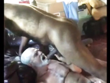 Vecchio papà fa un pompino profondo a un grosso cazzo nero