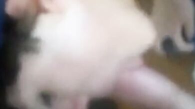 Gli piace succhiare il cazzo dei suoi amici