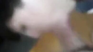 Gli piace succhiare il cazzo dei suoi amici