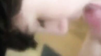 Gli piace succhiare il cazzo dei suoi amici