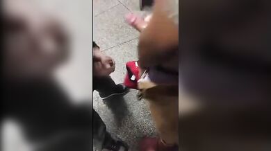 Sesso gay in un bagno pubblico